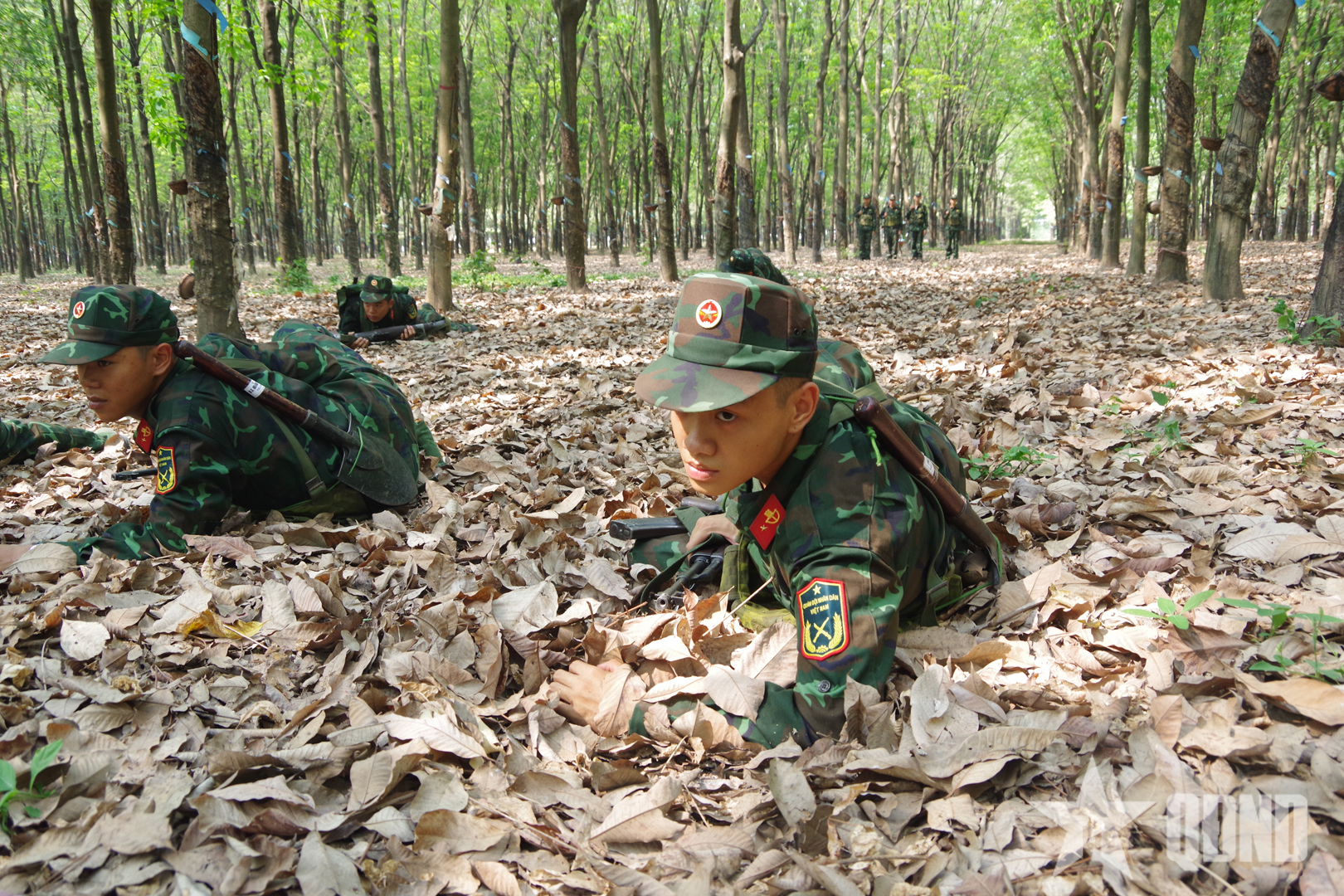 Sư đoàn 7 (Quân khu 7): Chiến sĩ mới vững vàng sau tháng đầu huấn luyện